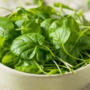 Add Watercress To Your Diabetes Diet This Spring