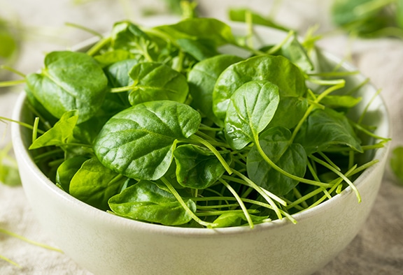 Add Watercress To Your Diabetes Diet This Spring