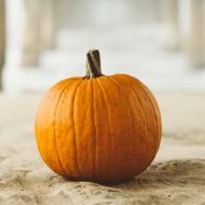 Pumpkins Great For Diabetic Health